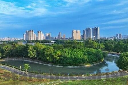 球市足球比分app-球市风云中的智慧导航,球市足球比分App,球迷的掌中宝