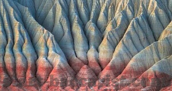 新浪 世界杯上的父子-新浪世界杯,父子间的传承与共鸣